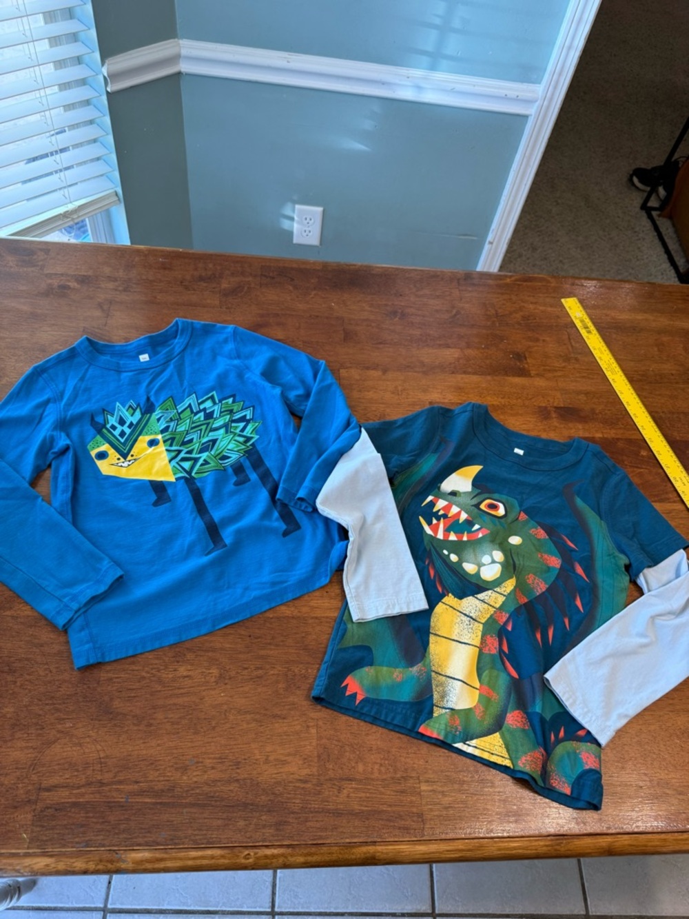 Lot of 2 Tea Collection size 8 Boys Long Sleeve Graphic Tees Dragon Bauhaus